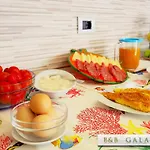 住宿加早餐酒店 Galatea